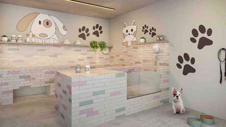 Dog Wash