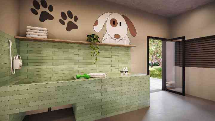 Dog Wash