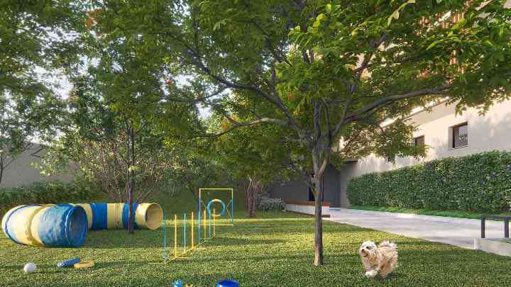 Pet Place